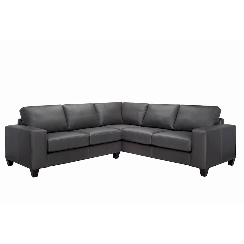 Paulina Top-grain Italian Leather Sectional Sofa