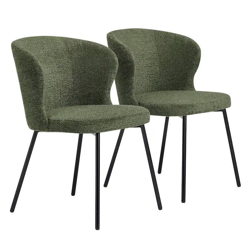 Modern Dining Chairs, Set of 2