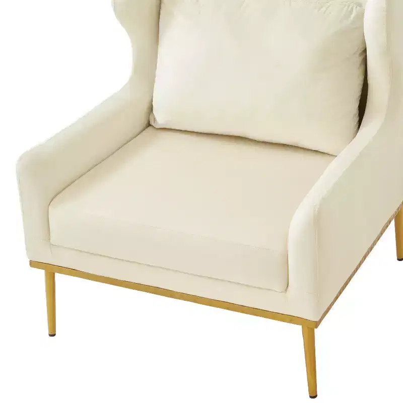 Christopher Knight Home Galina Modern Velvet Armchair with Pillow