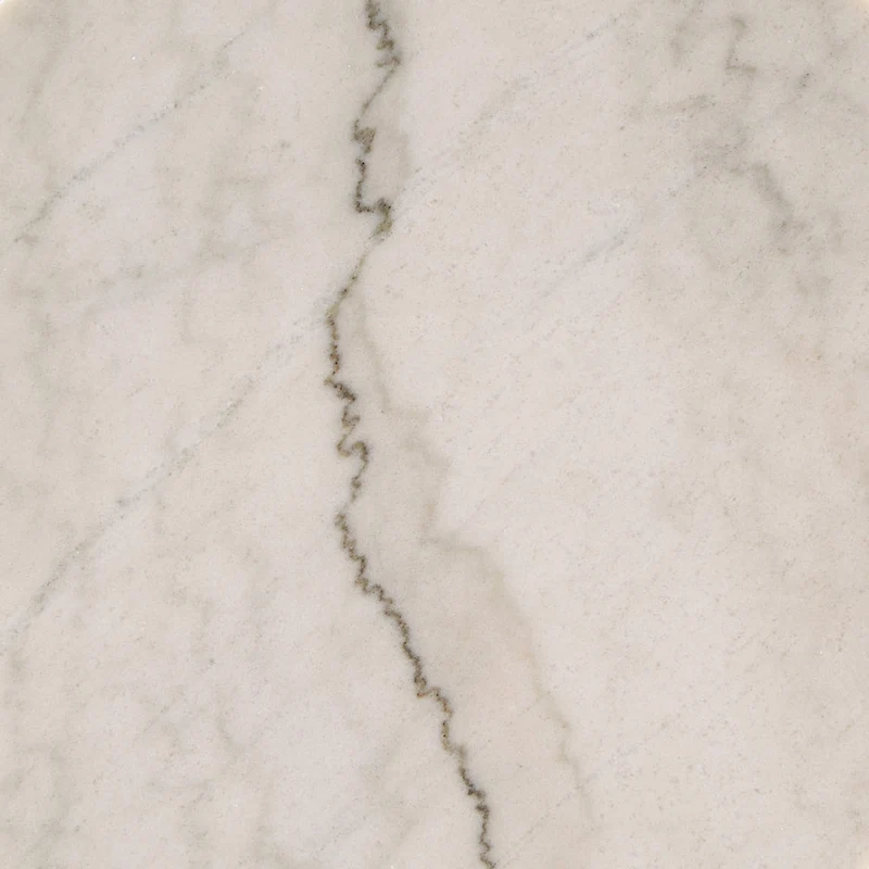 Egan Champagne Silver Finish Round Marble Top End Table by iNSPIRE Q Modern