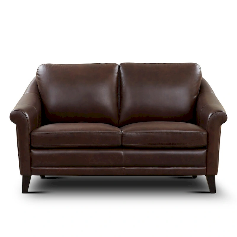 Sienna 100% Genuine Leather Midcentury Modern Loveseat