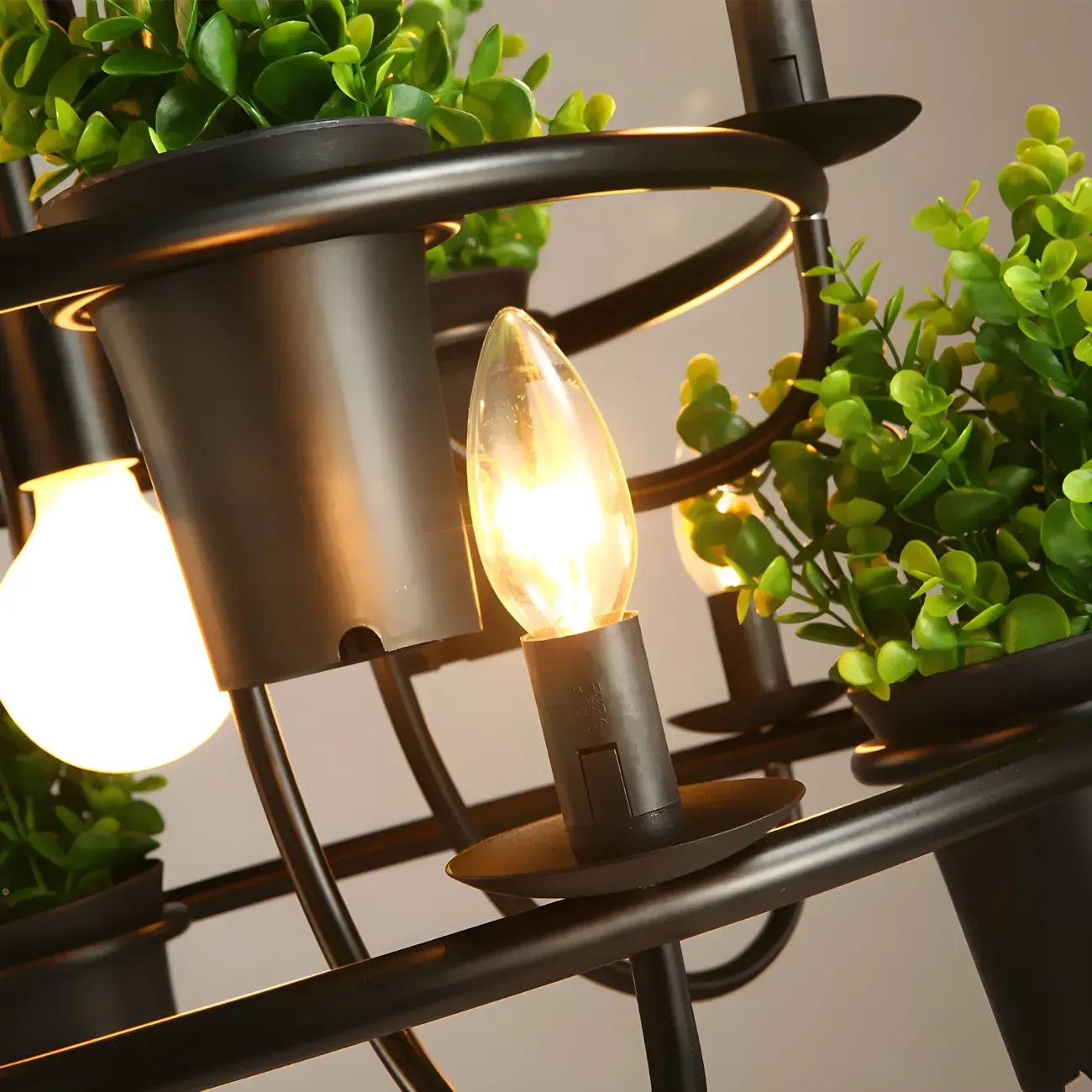 Black Metal Circular Modern Plant Chandelier