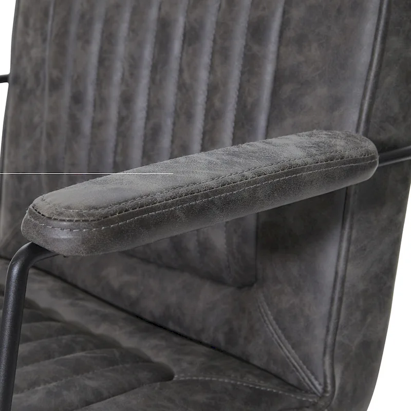 Teigen Faux Leather Chair with Sled Base