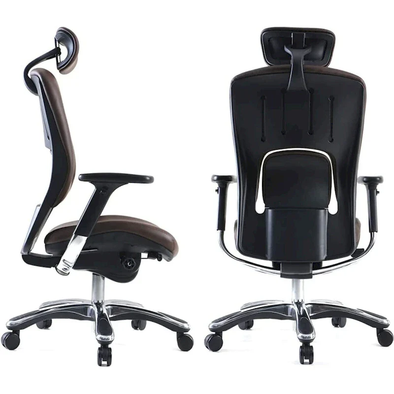 Ergolux Genuine Leather Executive Office Chair with Lumbar Support