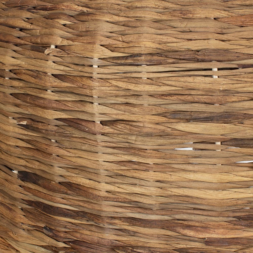 Tauranga, 5 Lt Pendant