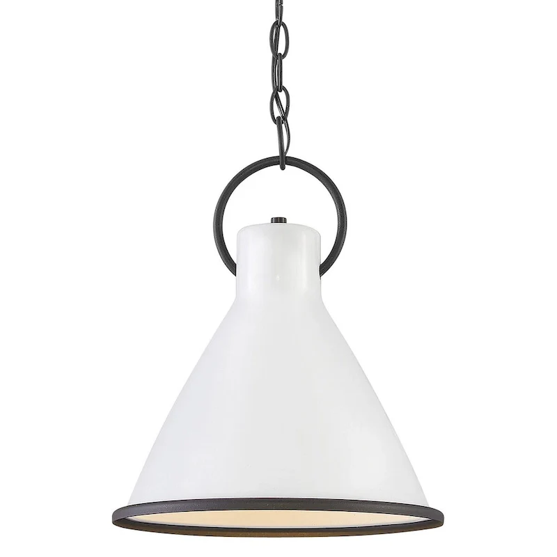 Hinkley Lighting Winnie Single Light 18  Wide Pendant
