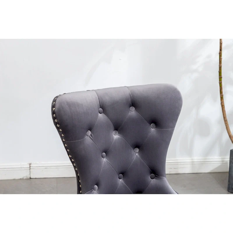 Roundhill Furniture Montura Tufted Velvet Chair (Set of 2)