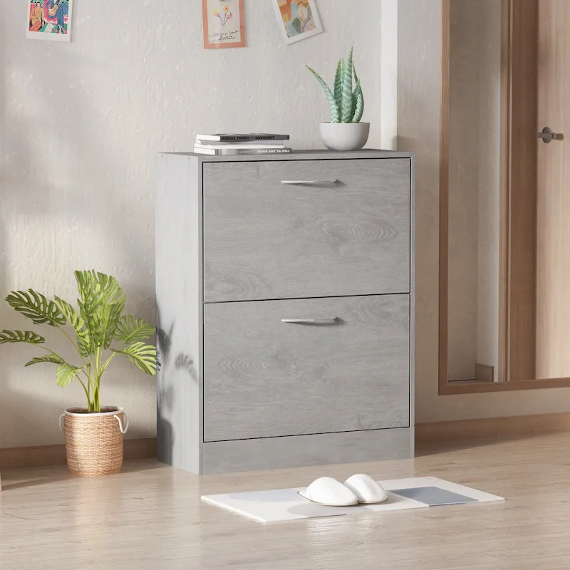 Modern Shoe Storage Cabinet for Entryway, 2 Tier Floor Shoes Cabinet
