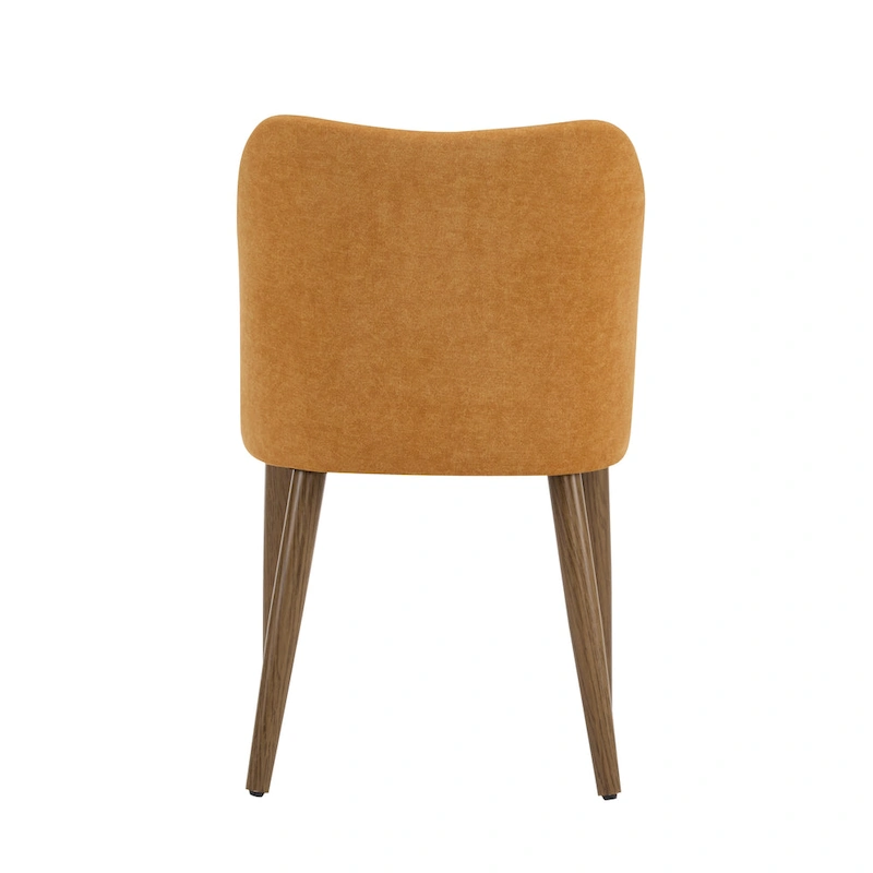 Aviana Fabric Upholstered Dining Chairs (Set of 2) by Christopher Knight Home