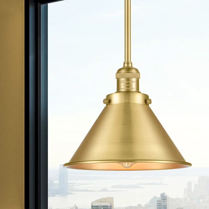 Innovations Lighting Briarcliff - 1 Light 10  Mini Pendant