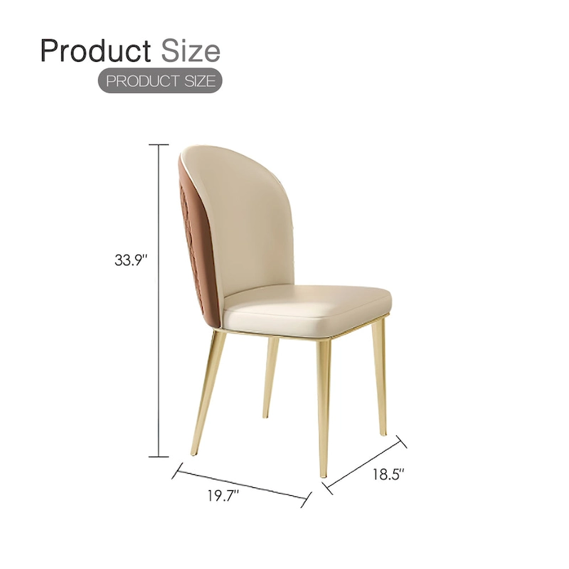 Modern Stainless Steel Leg Back Dining Chairs (Set of 2)