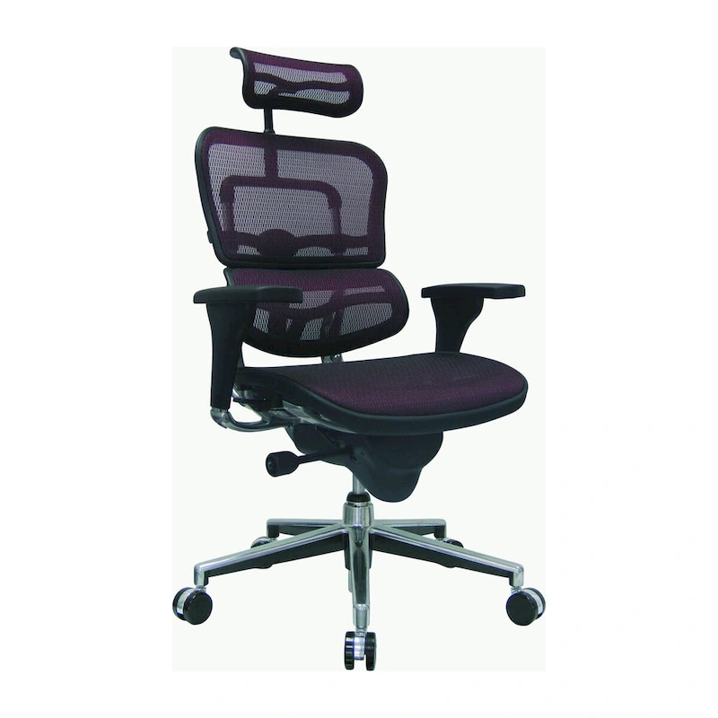 Eurotech Seating Ergohuman Mesh Managers Chair