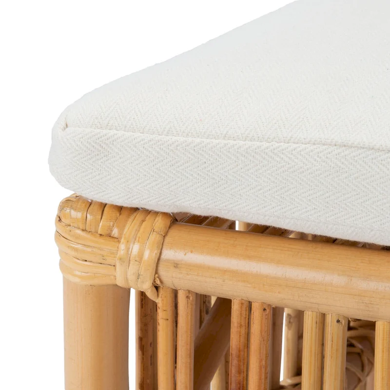 SAFAVIEH Patty Rattan Accent Chair with Cushion (Set of 2) - 19.7 W x 22.1 L x 35.4 H - 20Wx22Dx35H