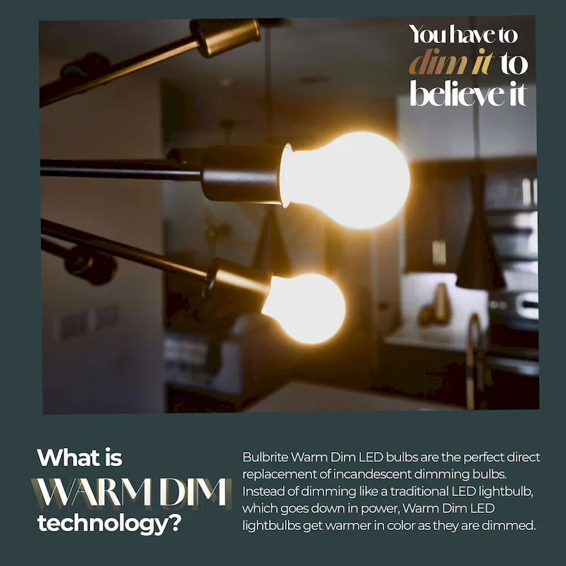 Bulbrite 9 Watt LED A19 Light Bulbs, Warm Dimming 3000K (Soft White) - 1800K (Candlelight), 800 Lumens, (2 Pack) - 2 Pack