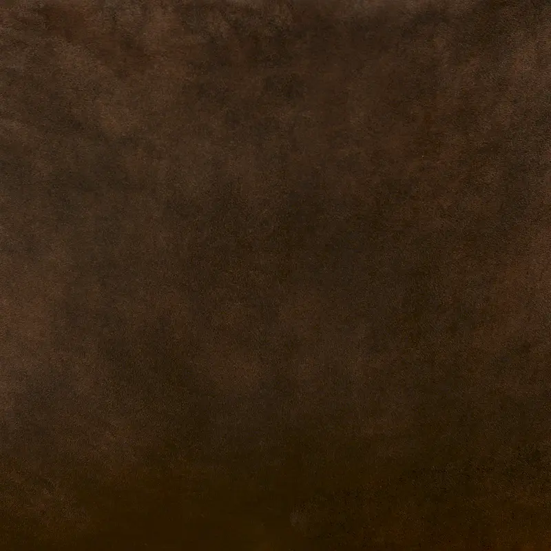 Faux Leather Dining Chair (Set of 2)