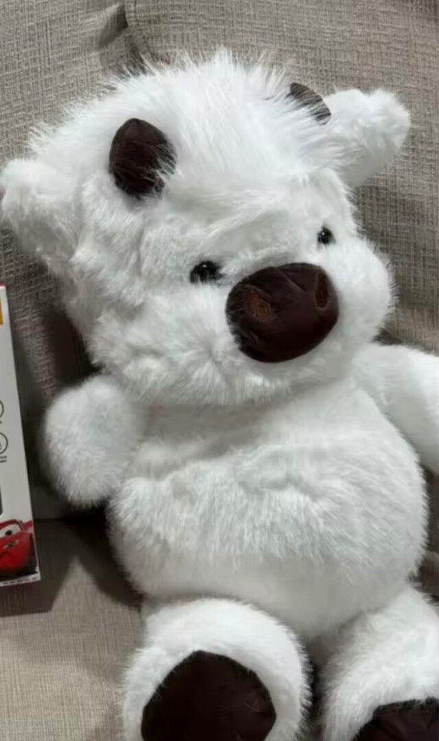 Cute companion plushie display