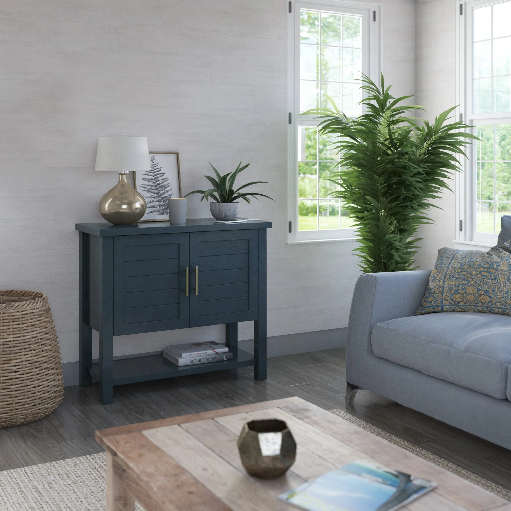 Coastal Paneled Accent Cabinet with Storage