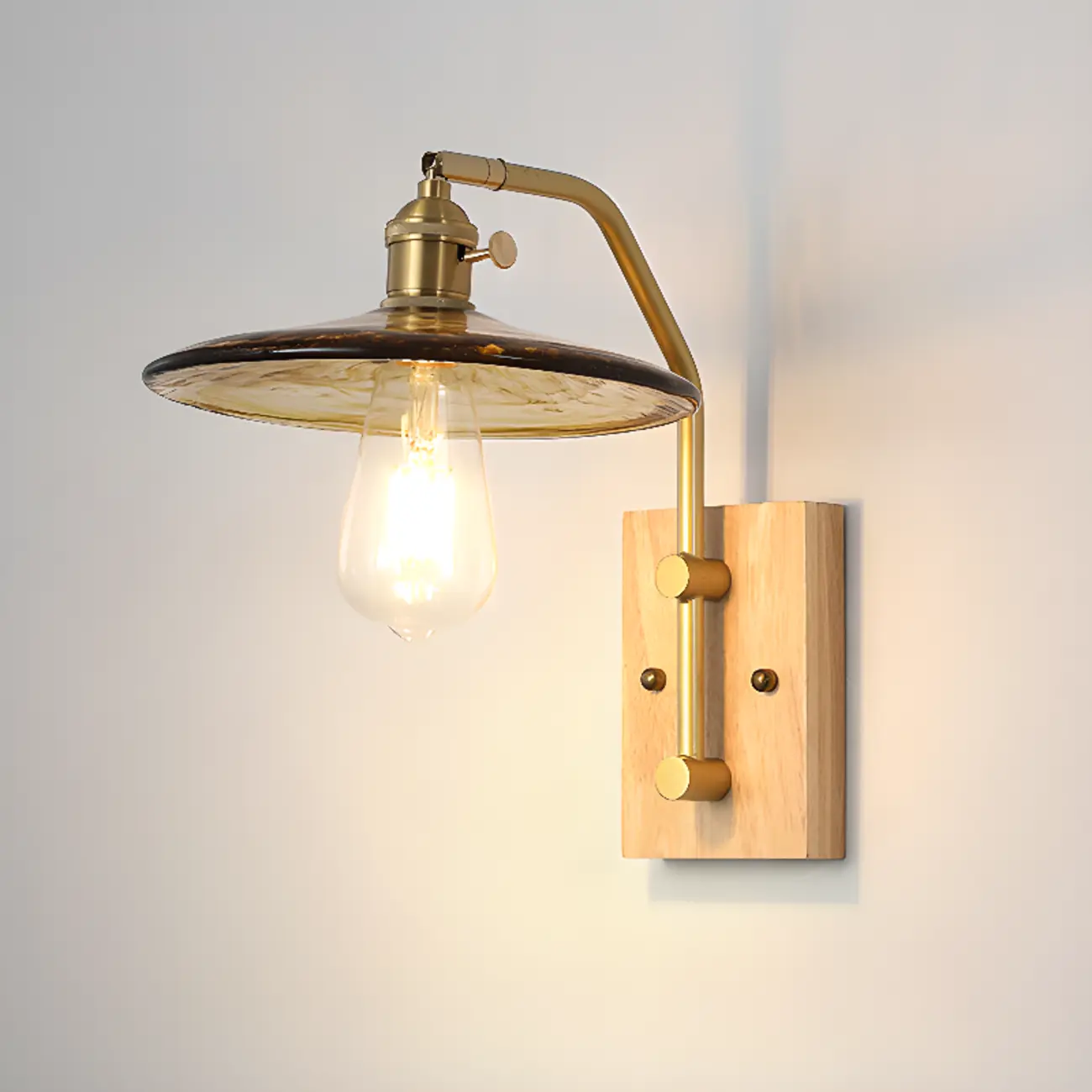 Contemporary Walnut Brass Cone Wall Mounted Light Fixture