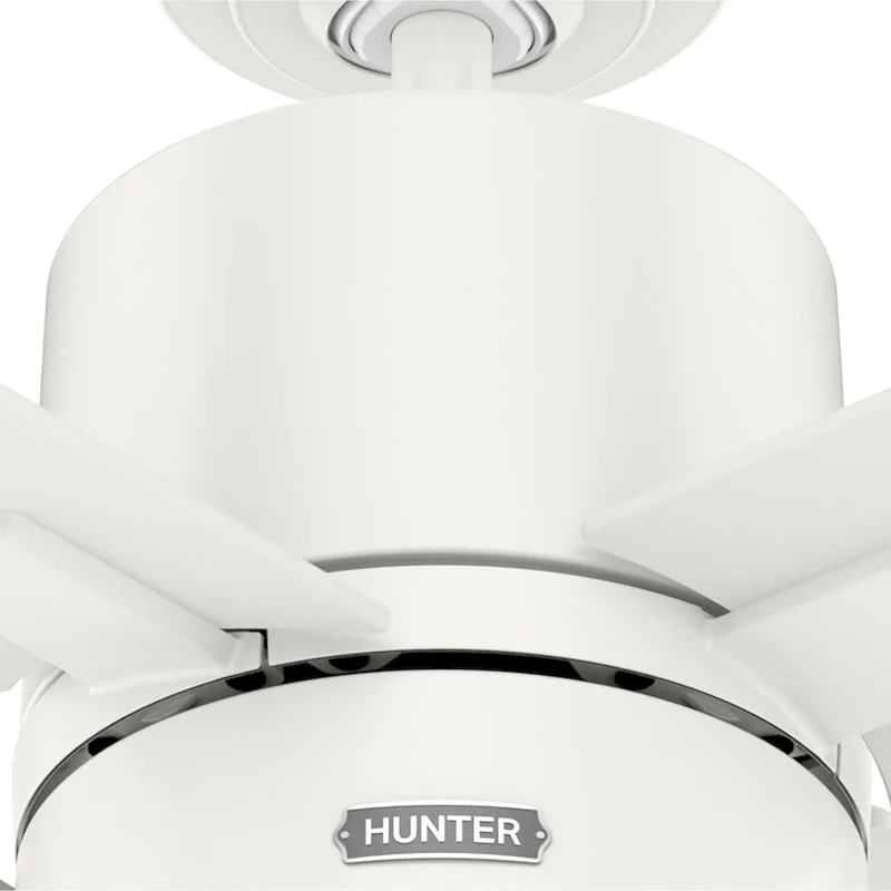 Hunter 52  Beck Ceiling Fan with LED Light Kit and Pull Chain - Transitional, Modern, Farmhouse