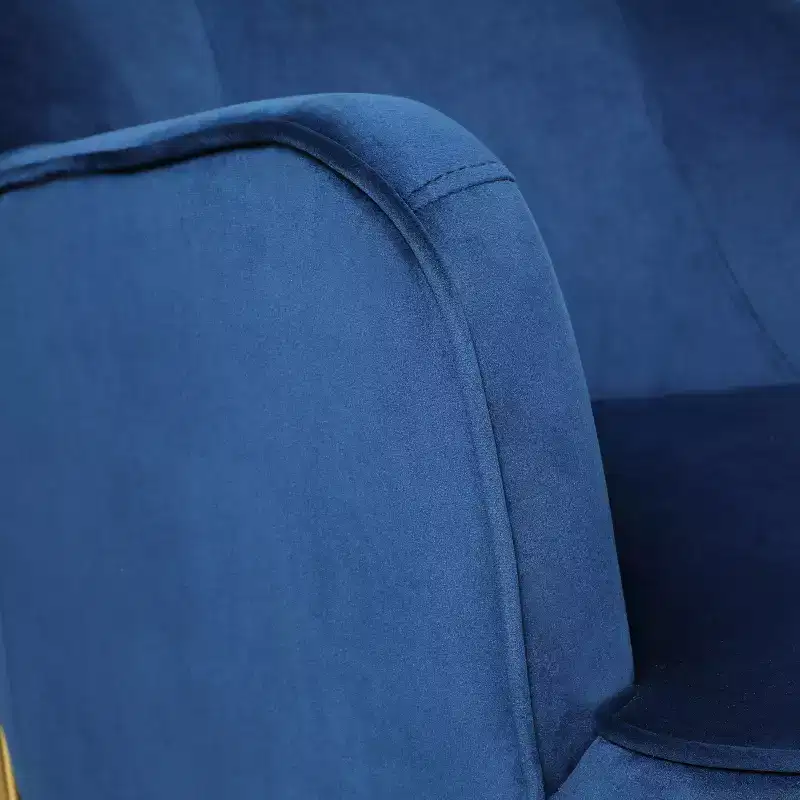 Odo Velvet Accent Comfy Living Room Arm Chair Upholstered Padded Seat Set of 2 | Karat Home