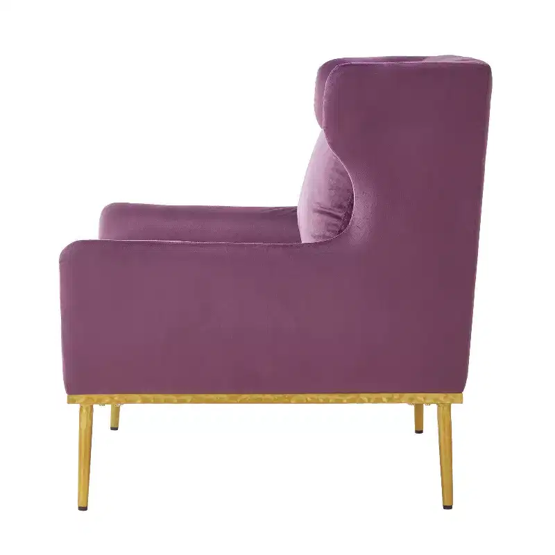 Christopher Knight Home Galina Modern Velvet Armchair with Pillow