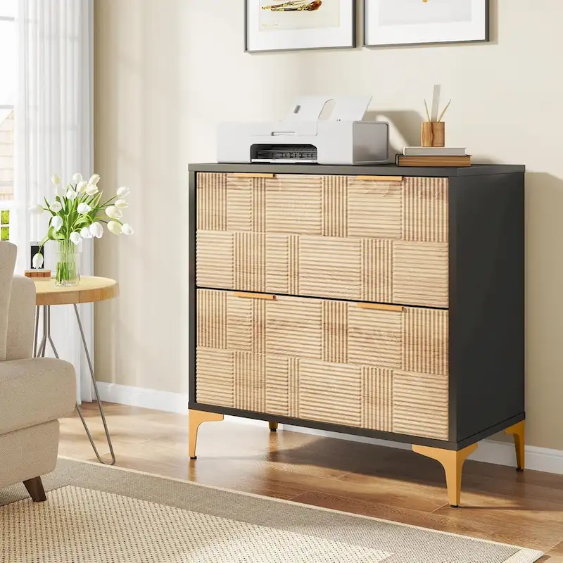 File Cabinet with 2 Drawers, Lateral Filing Cabinet with Adjustable Hanging Bar