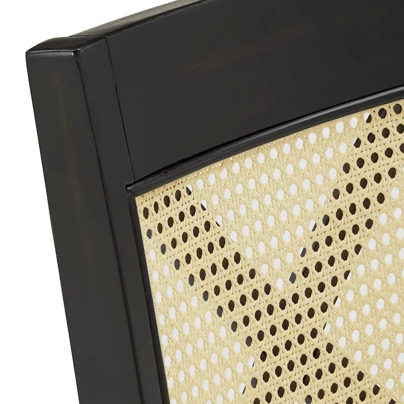 Plaga X-Back Cane Accent Dining Chair (Set of 2) by iNSPIRE Q Classic - Dining Chair