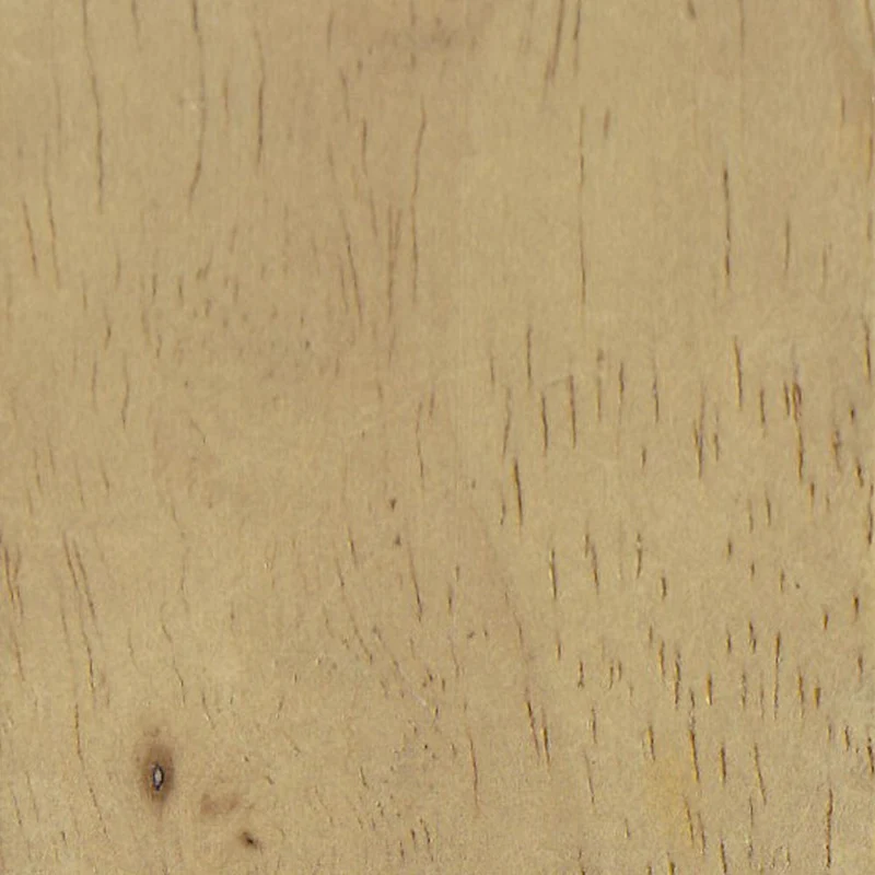 HomePop Modern Wood Frame Accent Chair