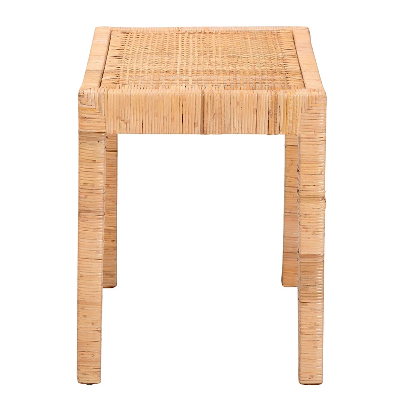 Abelia Modern Bohemian Natural Rattan and Mahogany Wood Accent Bench