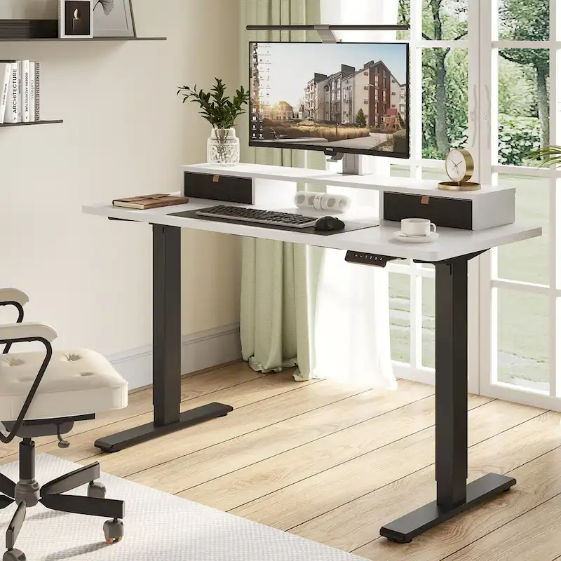 FlexiSpot 48x24/55x24 Ergonomic Height Adjustable Standing Desk with 2 Drawers, Monitor Stand Computer Desk