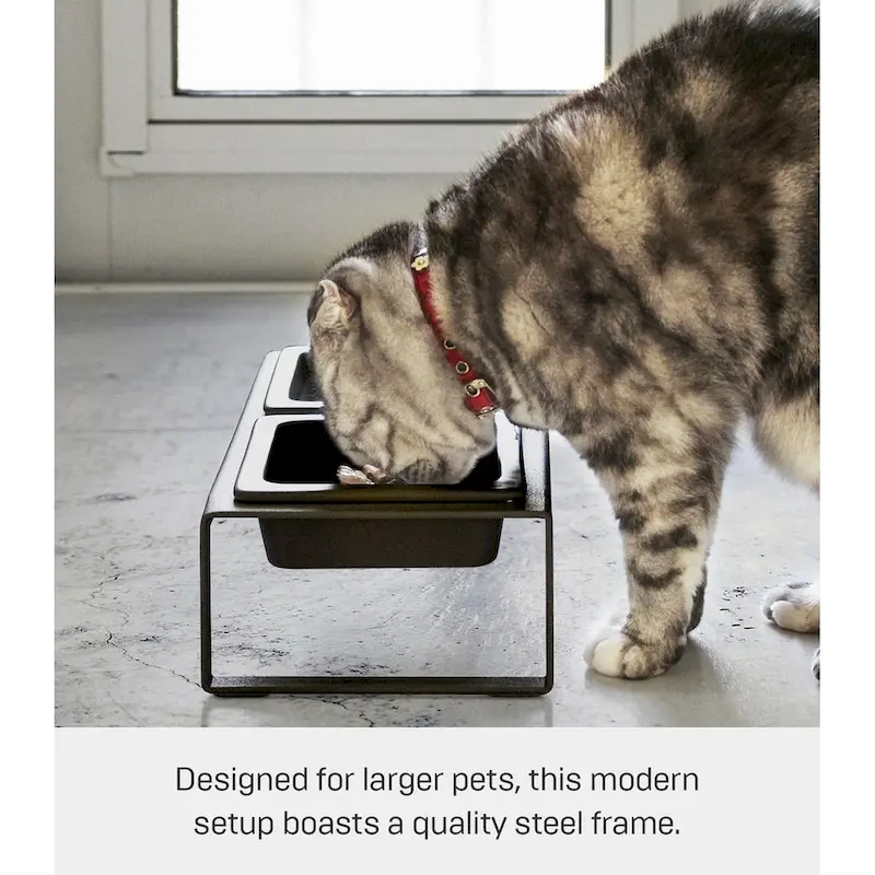 Yamazaki Home Pet Food Bowl - Two Styles, Steel and Ceramic, Tall, 1.25 cups, 300 milliliters per bowl