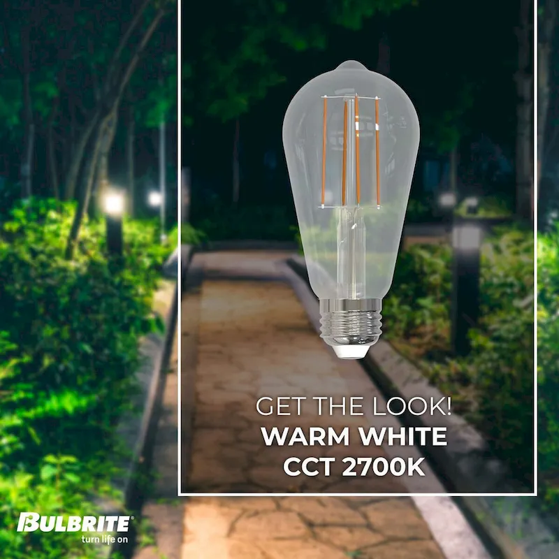 Bulbrite Pack of (8) 7 Watt Dimmable Clear Filament ST18 Medium (E26) LED Bulb