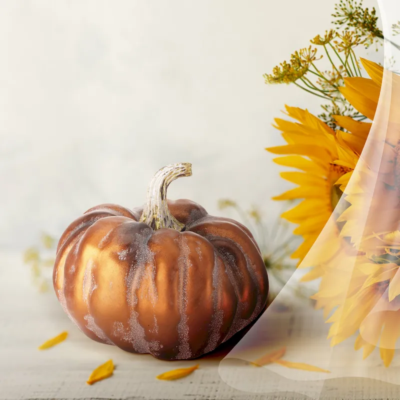 6  Autumn Pumpkin Set of 2 - strofoam:90% plastic:10%