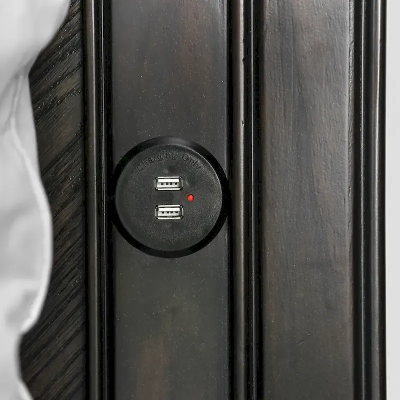 Furniture of America Moso Rustic Espresso 2-drawer Platform Bed with USB