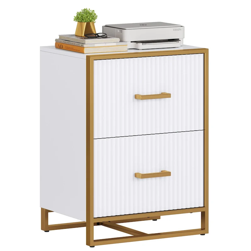 2 Drawer File Cabinet with Gold Frame Filing Cabinet for Letter Size Printer Stand