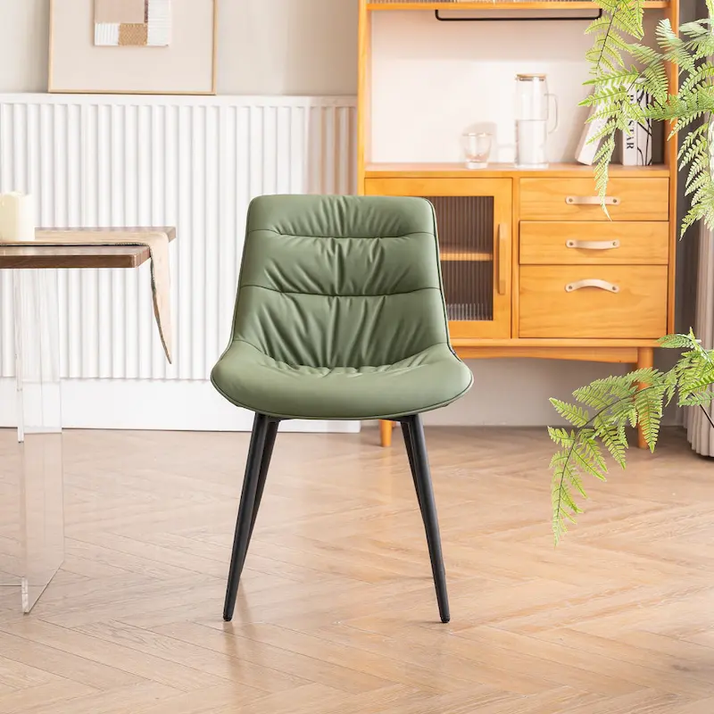 Dining Chairs Set of 2 Modern Kitchen Chairs Living Room Chairs