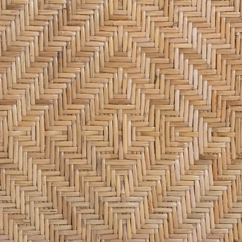 Ayana Mid-Century Modern Two-Tone Black and Natural Brown Rattan Dining Chair