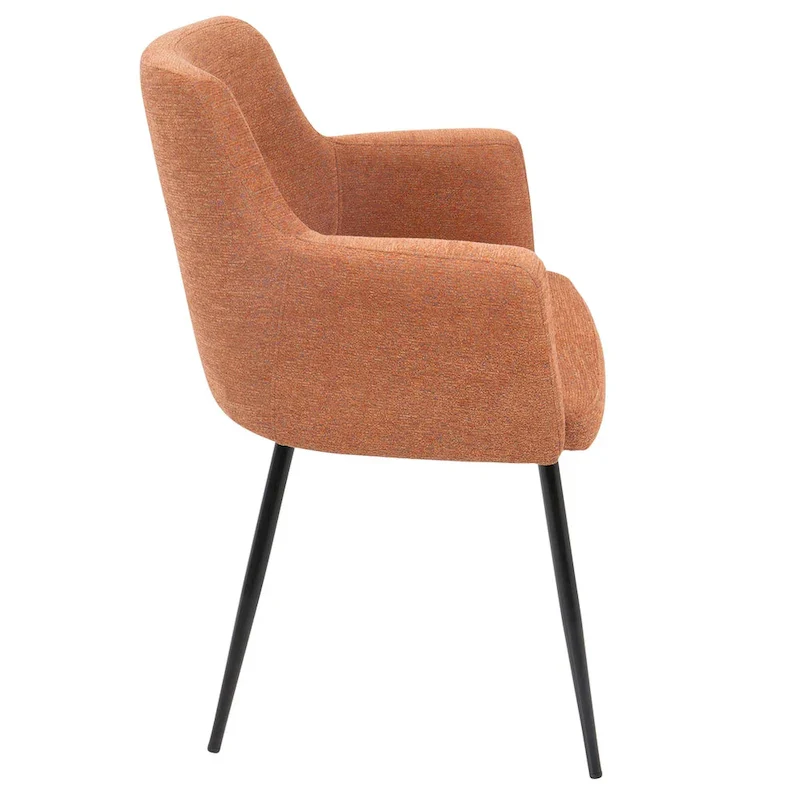 Modern-Style Dining Chairs & Accent Chairs (Set of 2)