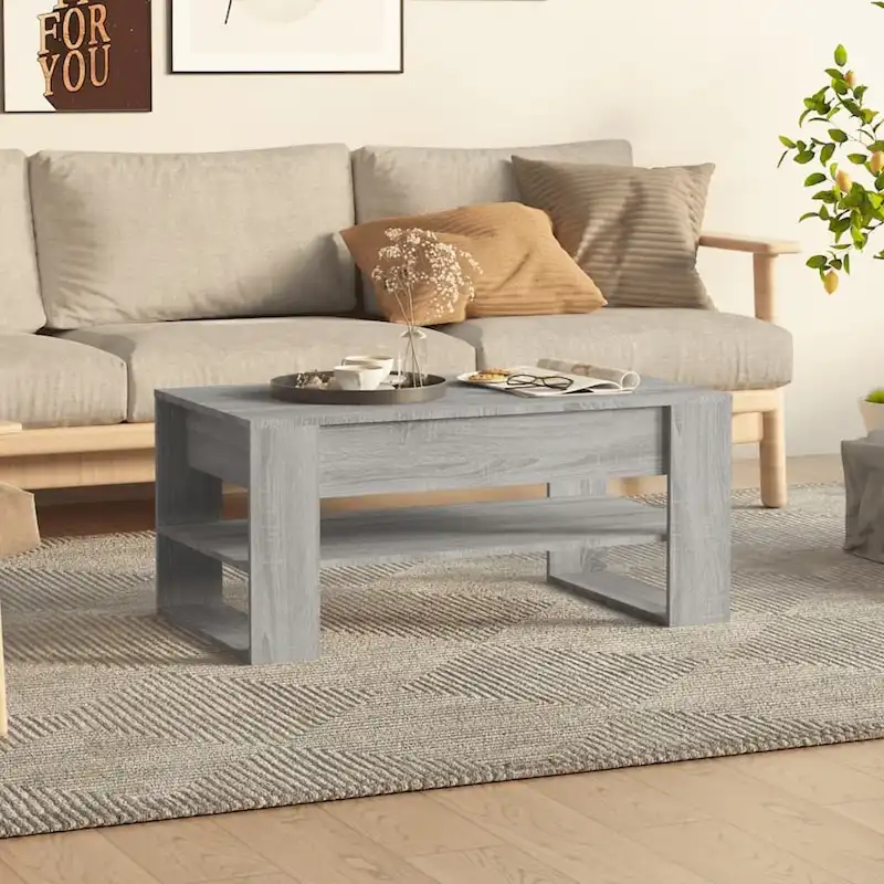 Coffee Table with Storage Shelf, Multiple Colors Available, for Home Use