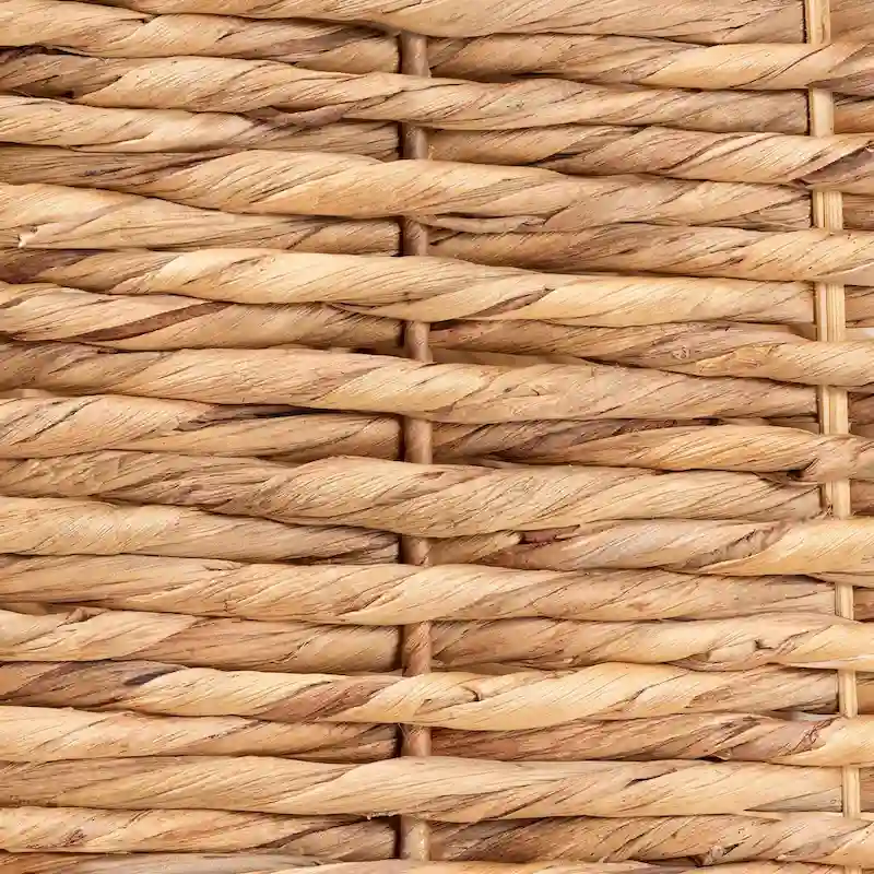 Pelleas Modern Bohemian Natural Brown Seagrass and Wood End Table