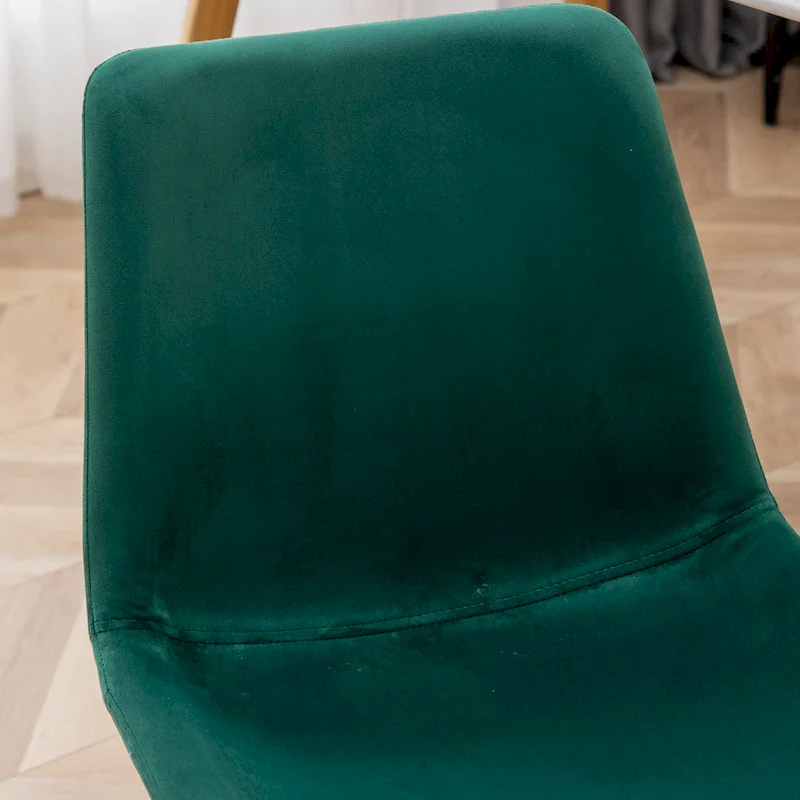 Roundhill Furniture Aufurr Modern Velvet Dining Chair (Set of 2)