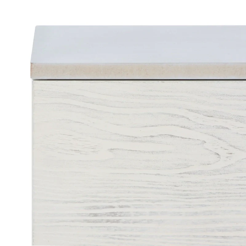 SAFAVIEH Lerke Media TV Stand - 54 W x 15.7 L x 19.7 H - 54Wx16Dx20H