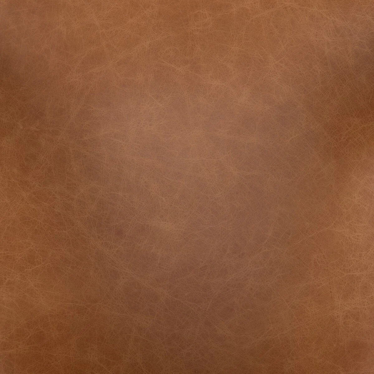 HAWKINS DINING CHAIR