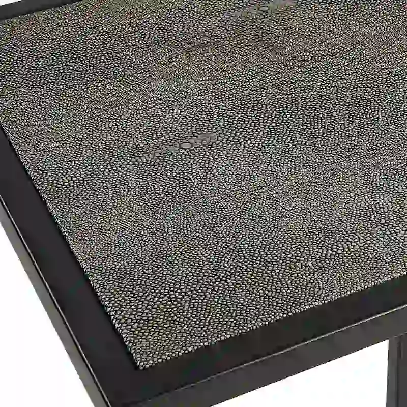 Antique Black Iron and Shagreen Accent Table by Matthew Williams