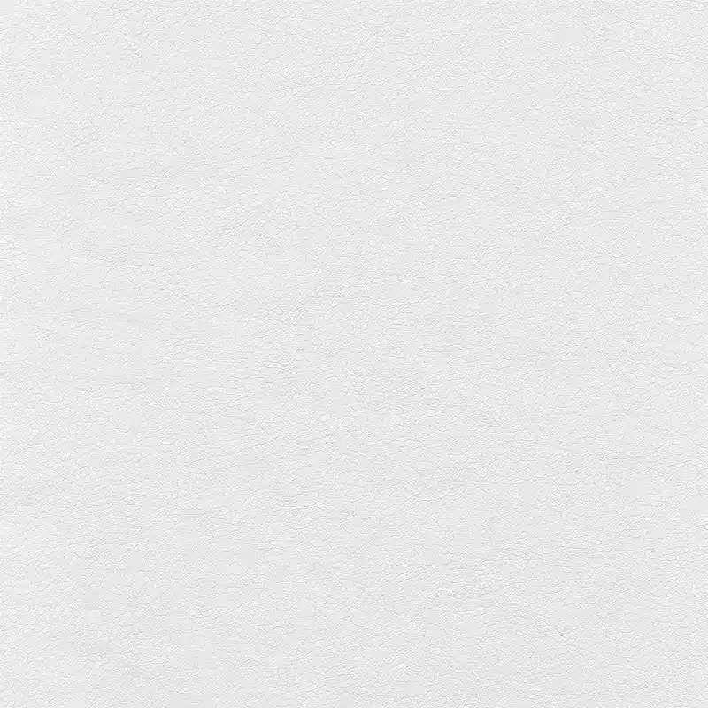 Cabot Mid Back Leather Office Chair by