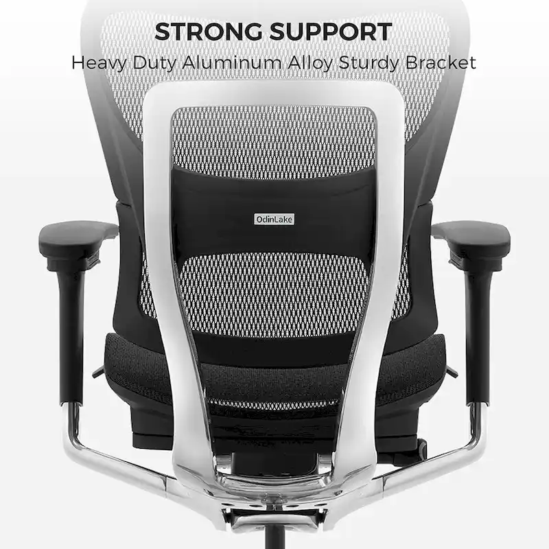 OdinLake High Back Office Chair Home Desk Chair Computer Chair Whitout Footrest