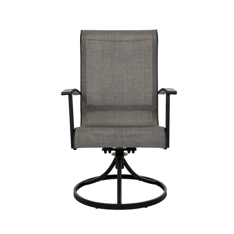 Teslin Iron Frame Swivel Dining Chair (Set of 2)