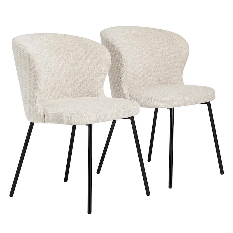 Modern Dining Chairs, Set of 2