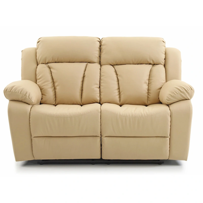 Daria Faux Leather Reclining Loveseat