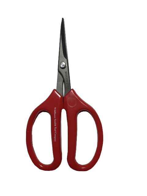 PRO Floral Scissors "Curved Blades" 2